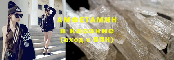 гидра Калининец