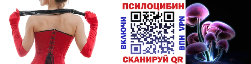 цены Бежецк Галлюциногенные грибы Cubensis